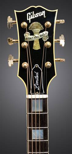 Rare guitar shop deals